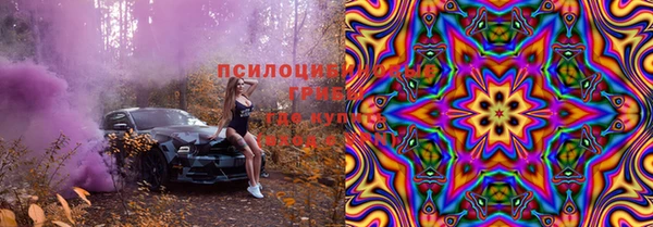 шишки Касимов